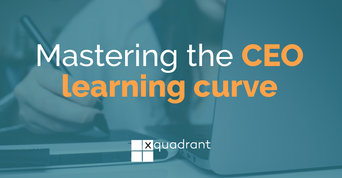 Mastering the CEO learning curve